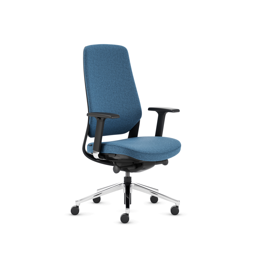 Teamo® Plush - Ergonomischer Bürostuhl, Vollpolster, Schwarz/Blau